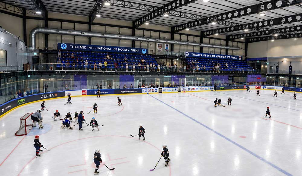 THE RINK